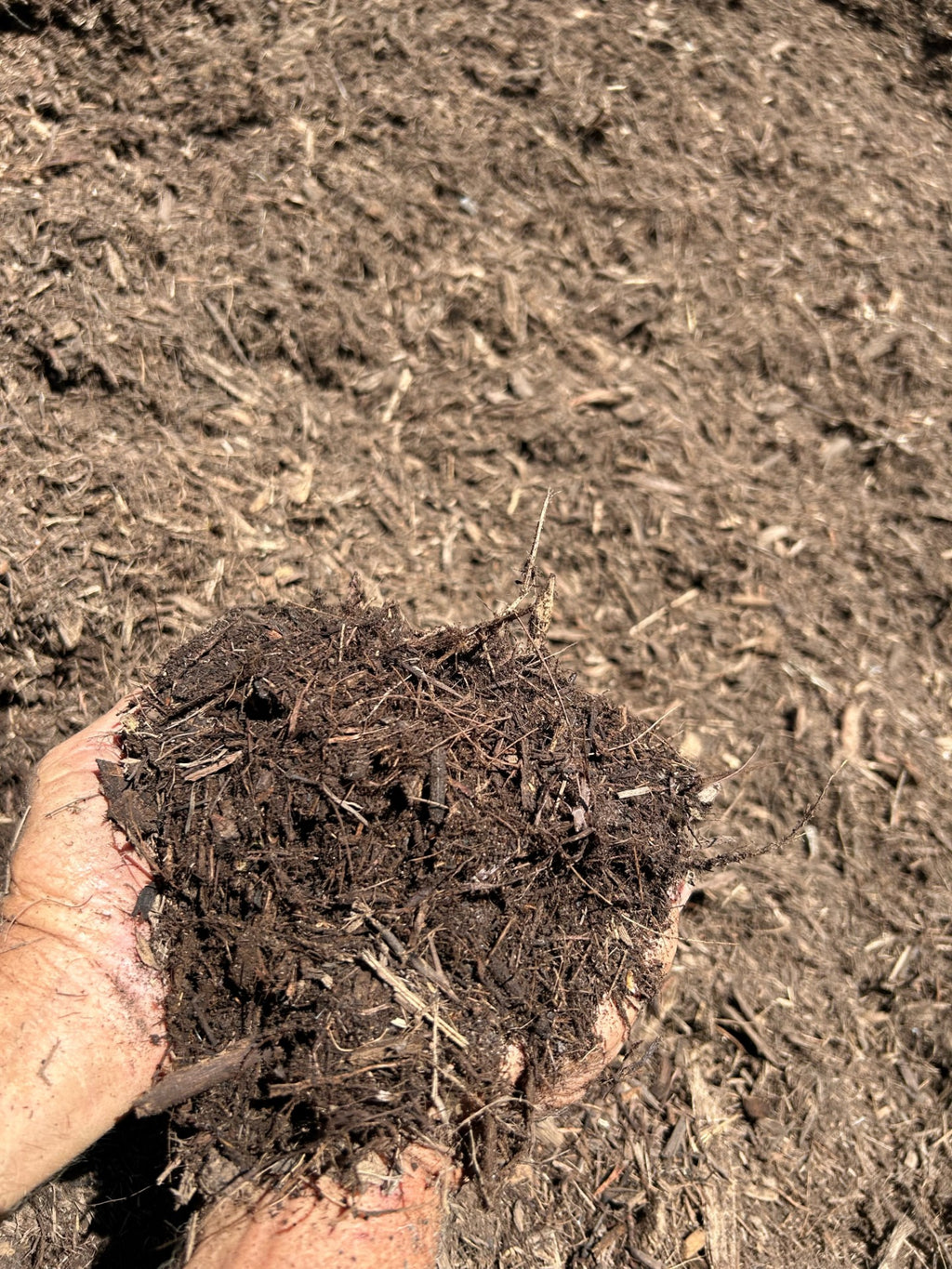 Medium Wood Mulch